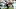 NY Jets NY Jets